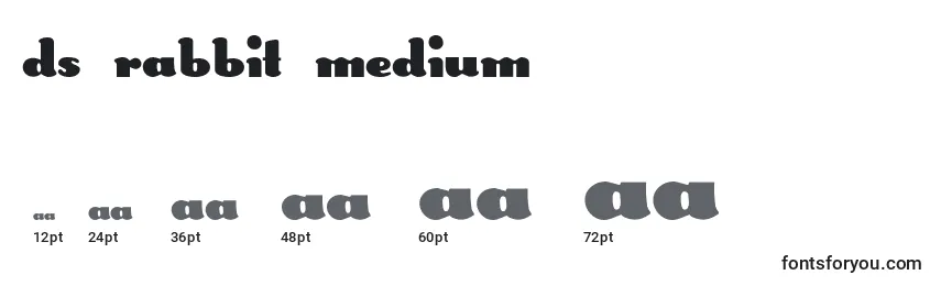 sizes of ds rabbit medium font, ds rabbit medium sizes